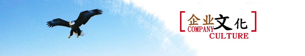 玖鼎贵宾厅|(中国)集团