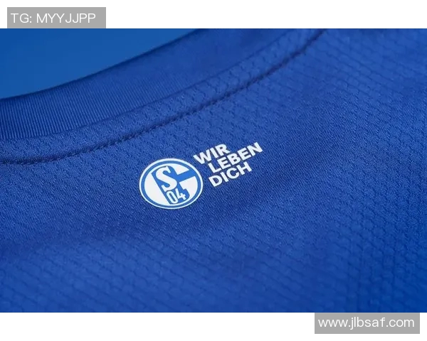 沙尔克04主场惨败，遭遇严重打击！